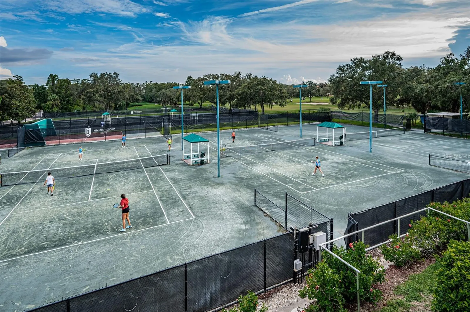 36750 Us Highway 19 N Palm Harbor FL 34683