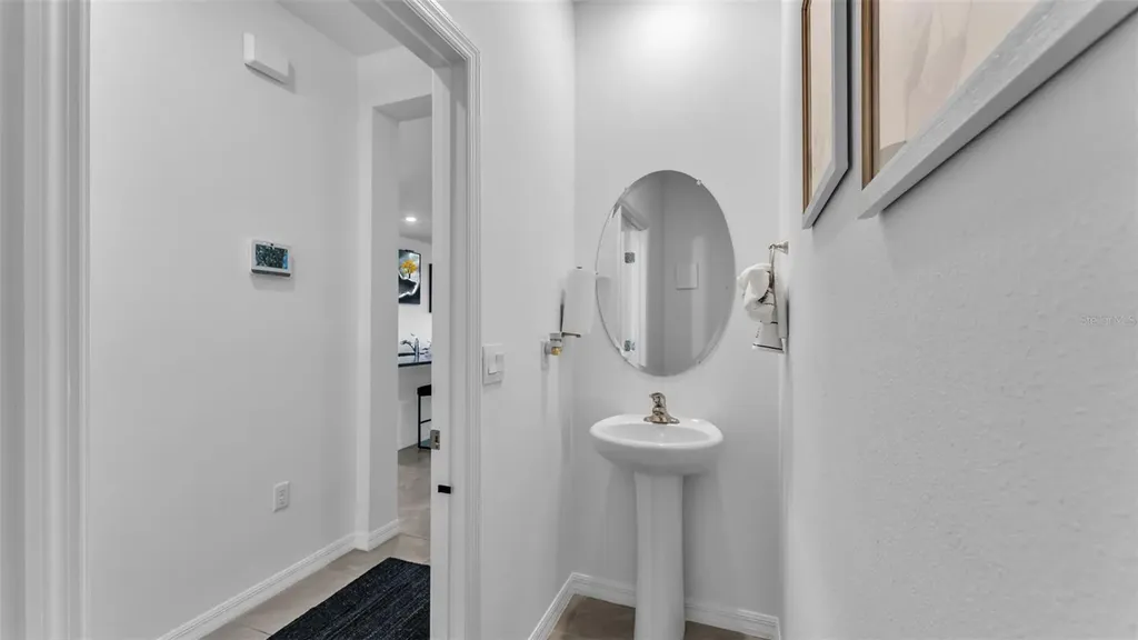 3532 White Dandelion Court Plant City FL 33565