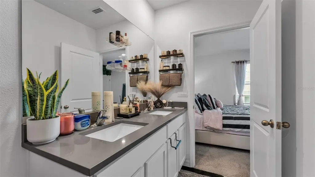 3532 White Dandelion Court Plant City FL 33565