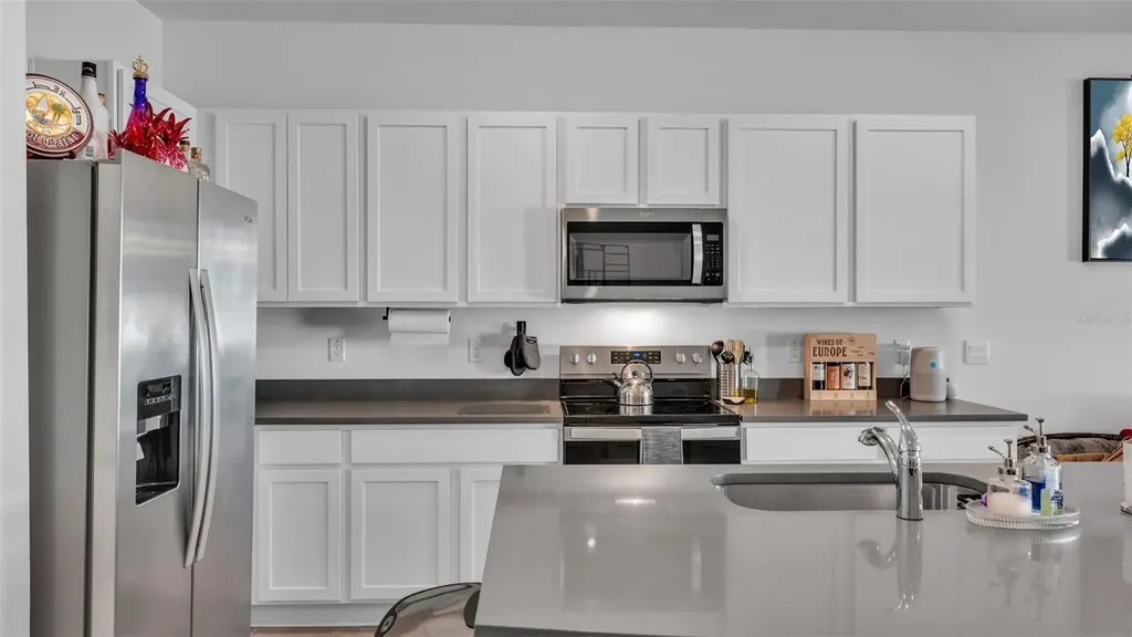 3532 White Dandelion Court Plant City FL 33565