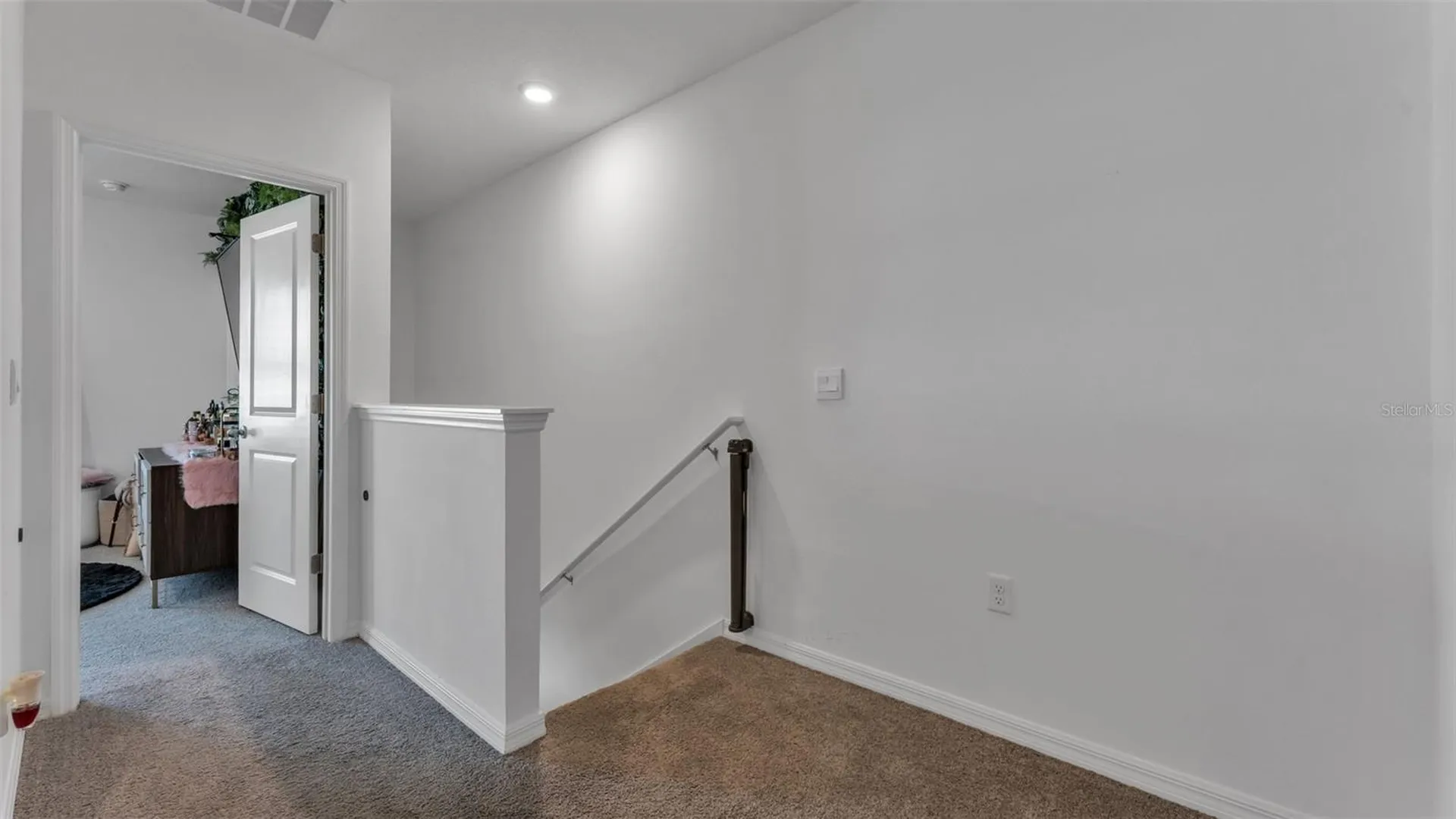 3532 White Dandelion Court Plant City FL 33565