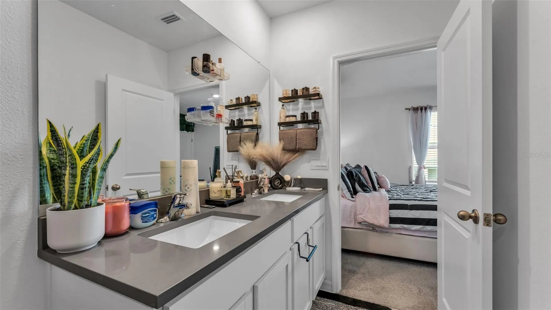 3532 White Dandelion Court Plant City FL 33565