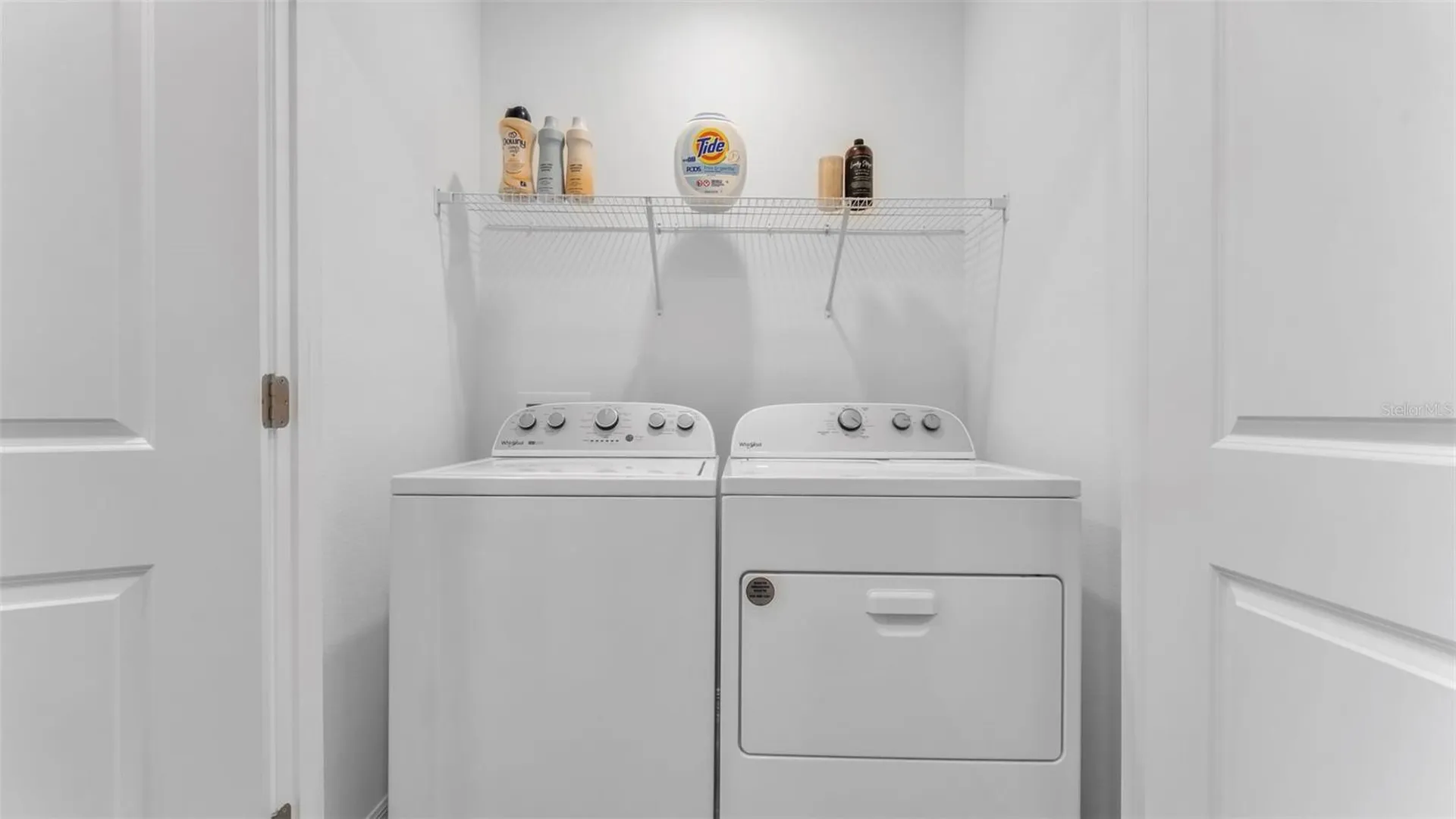 3532 White Dandelion Court Plant City FL 33565