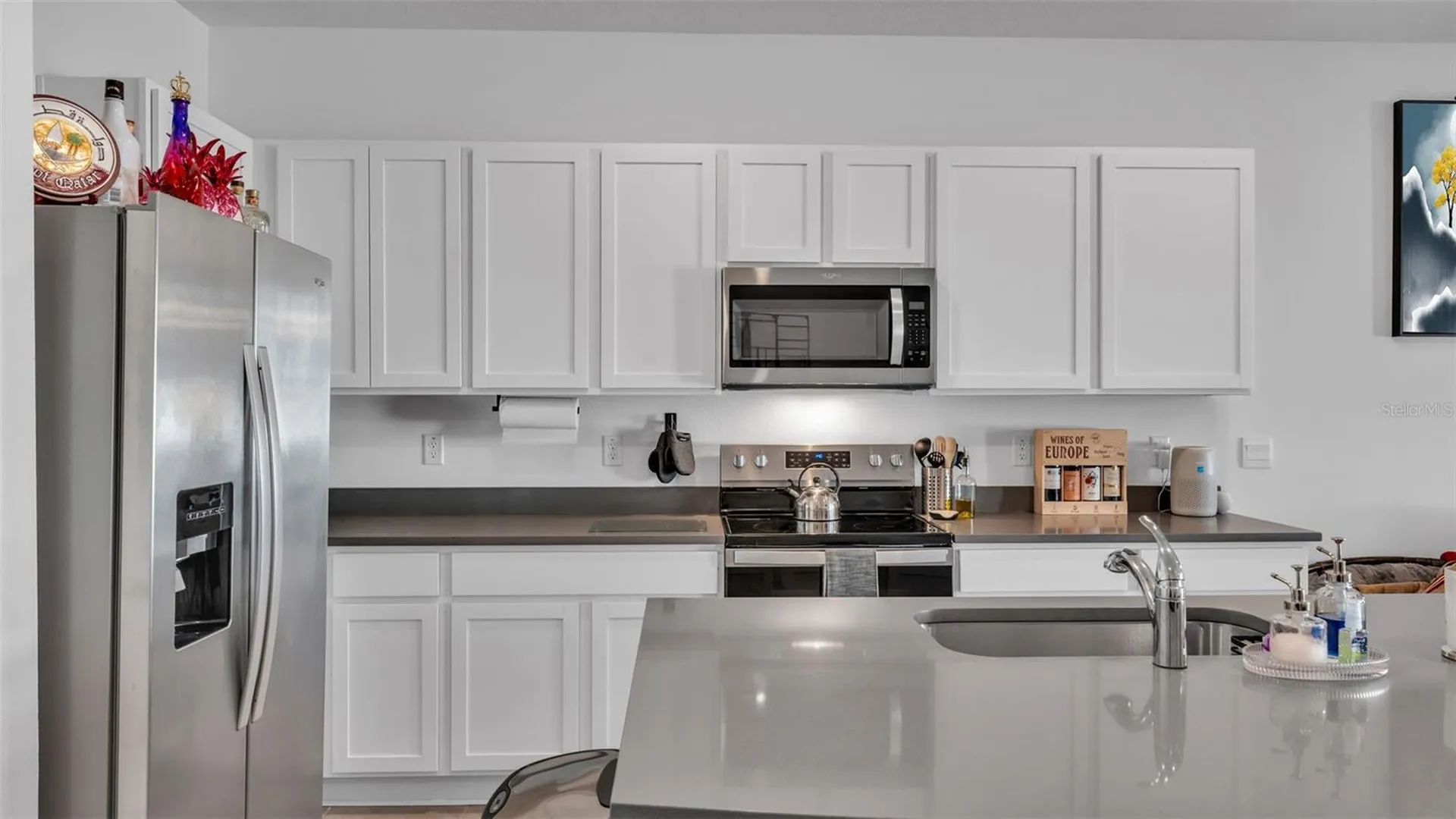 3532 White Dandelion Court Plant City FL 33565