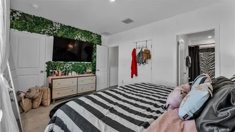 3532 White Dandelion Court Plant City FL 33565