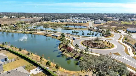 3532 White Dandelion Court Plant City FL 33565