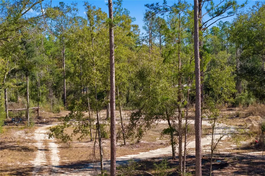 12TH Terrace Live Oak FL 32060