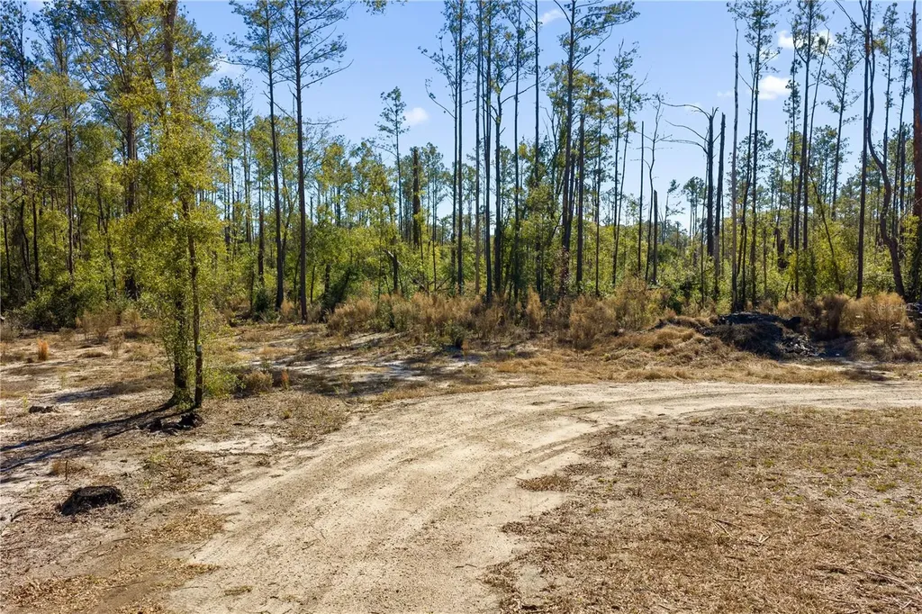 12TH Terrace Live Oak FL 32060
