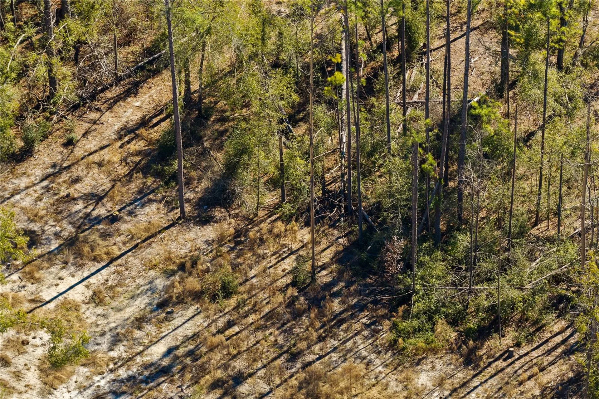12TH Terrace Live Oak FL 32060