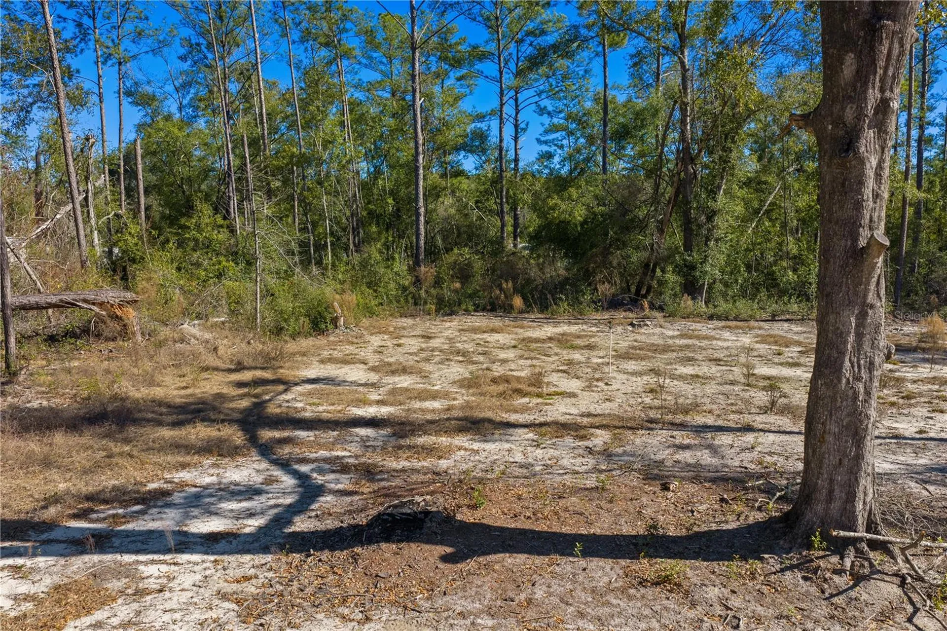 12TH Terrace Live Oak FL 32060