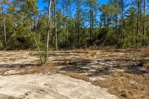12TH Terrace Live Oak FL 32060
