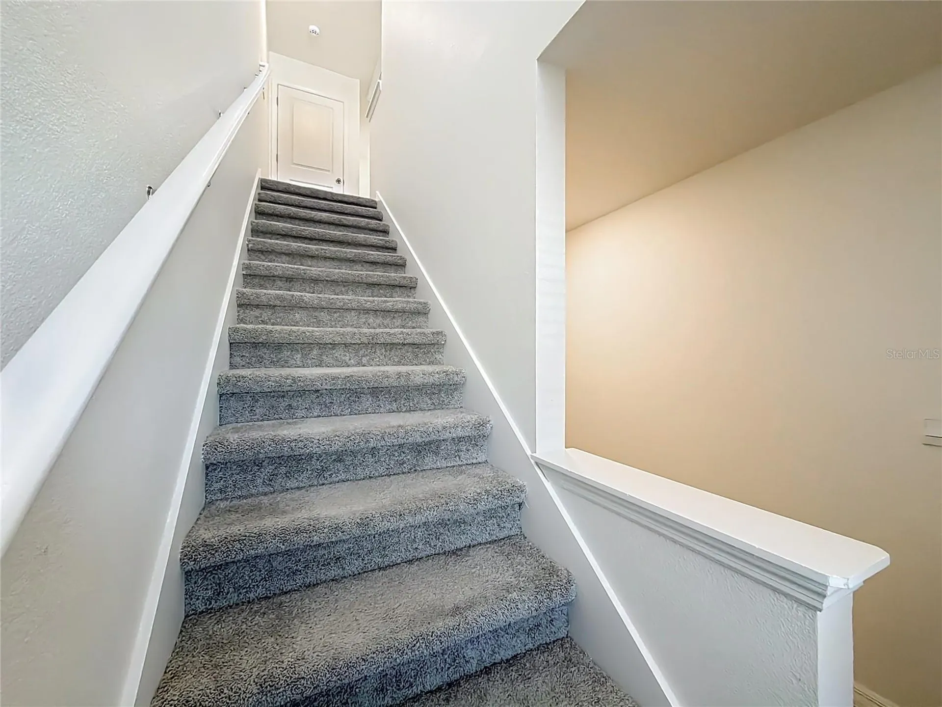 6687 SW 81st Loop Ocala FL 34476