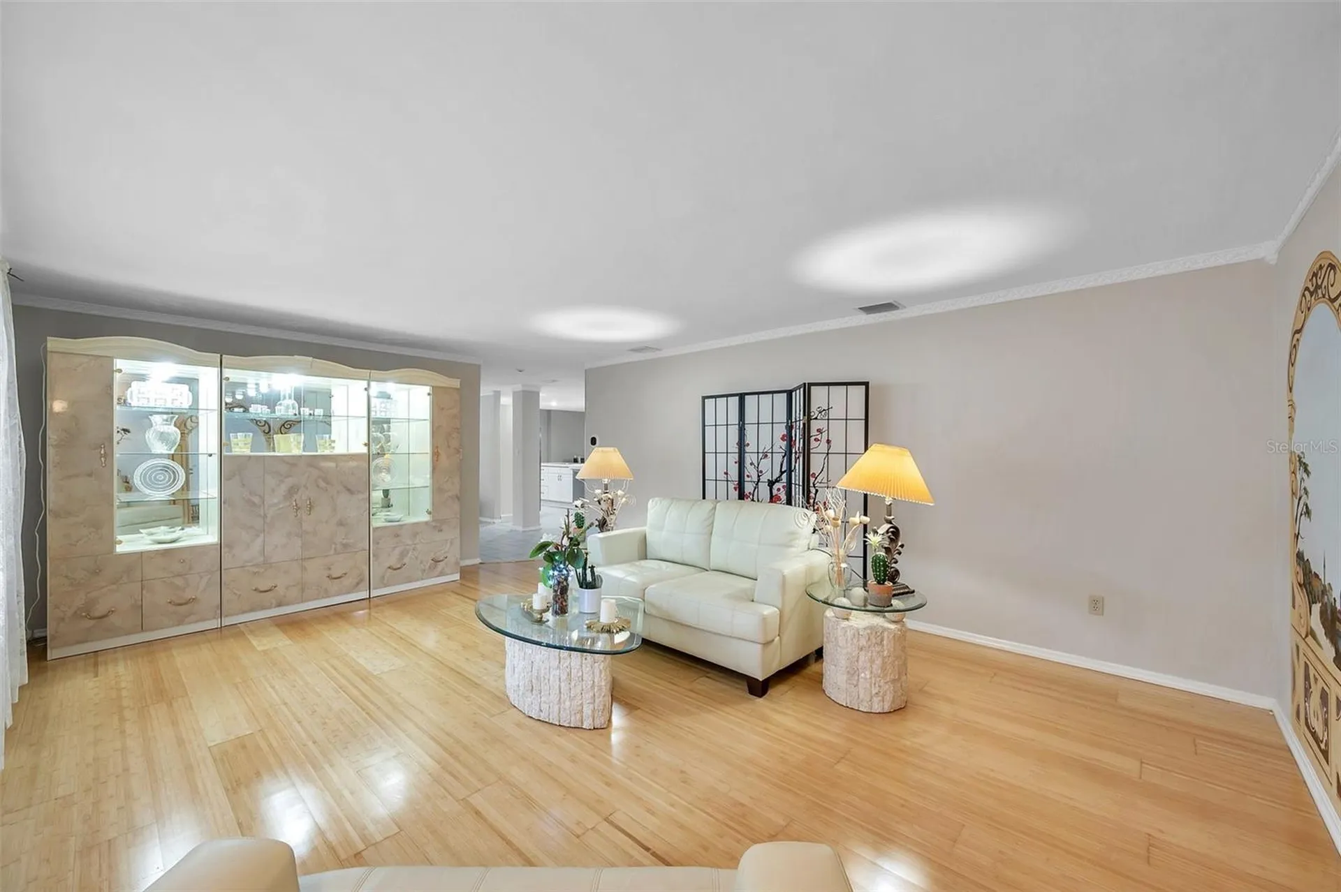 2217 Buena Vista Drive Clearwater FL 33764