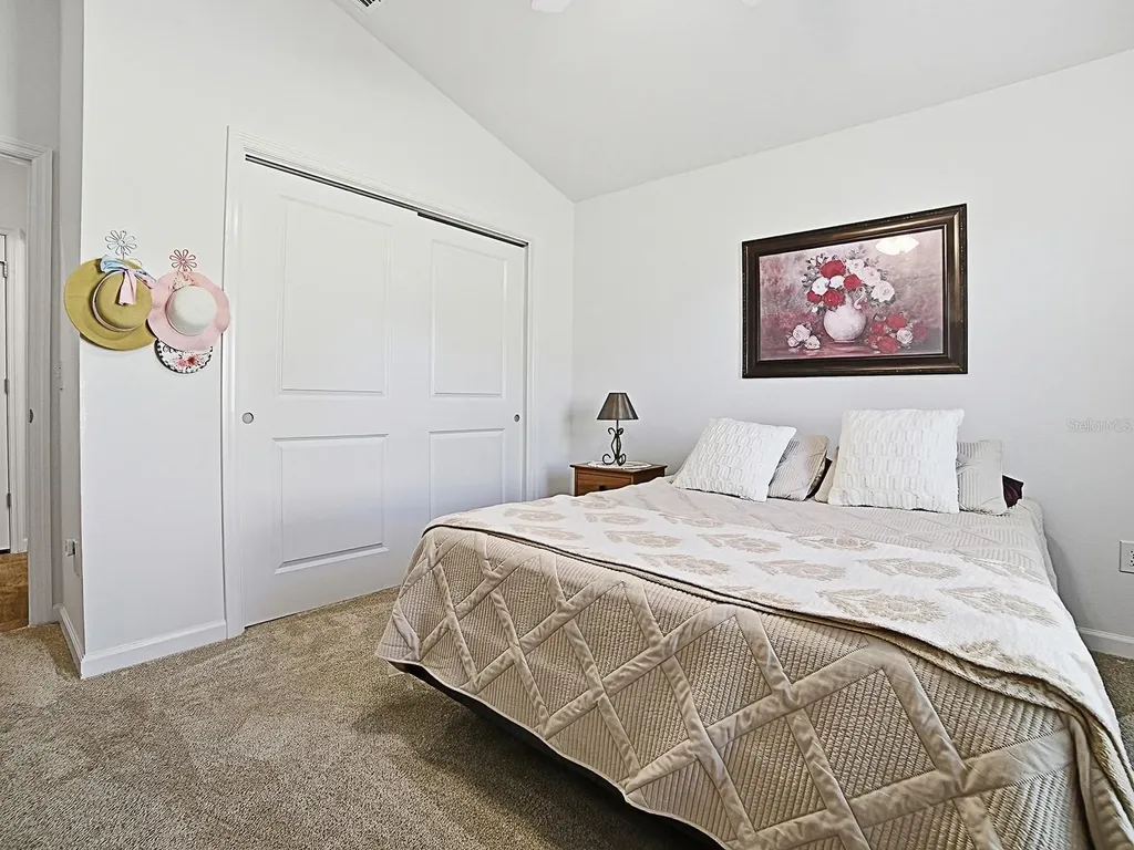 3099 Melle Place The Villages FL 32163