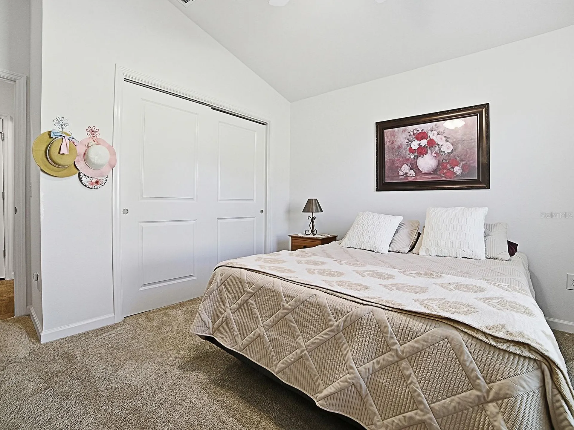 3099 Melle Place The Villages FL 32163