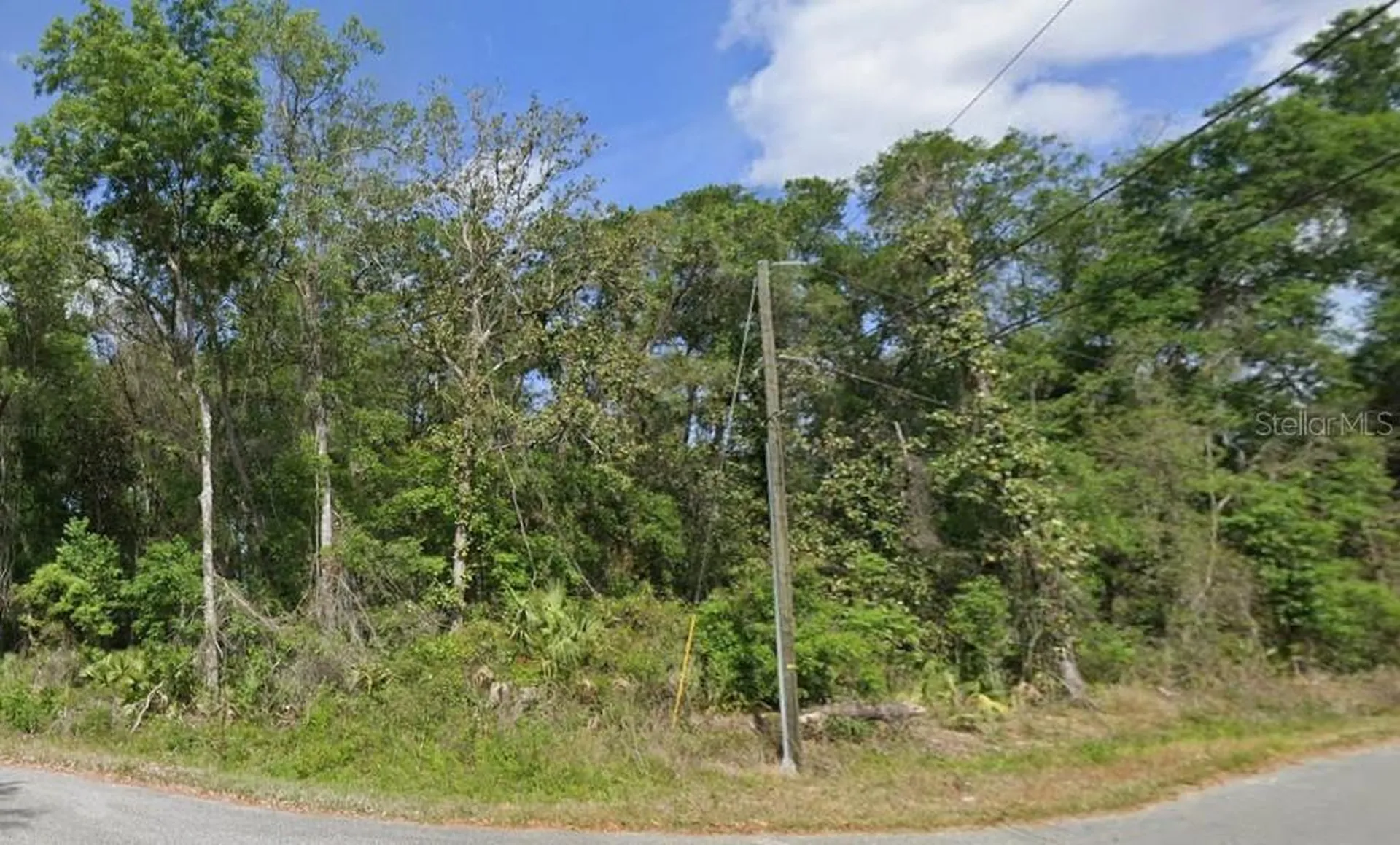 Spruce Terrace Run Ocala FL 34472