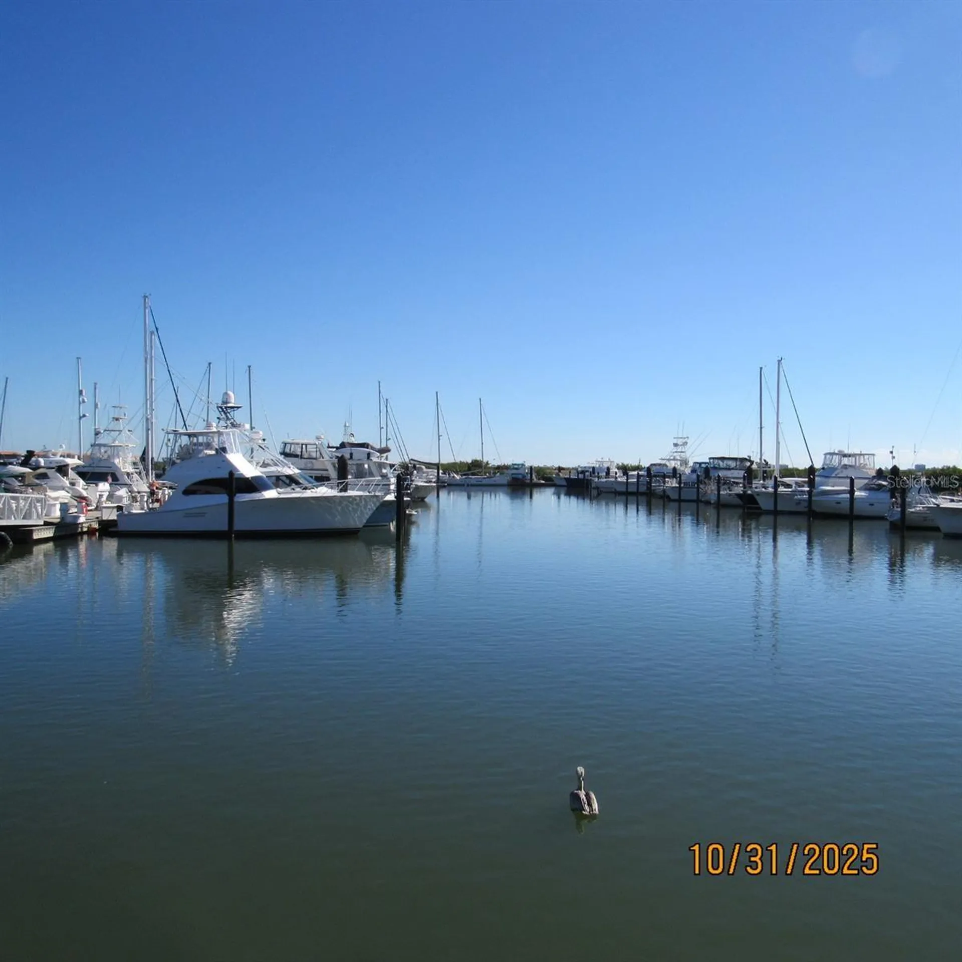 2050 Oleander Boulevard Fort Pierce FL 34950