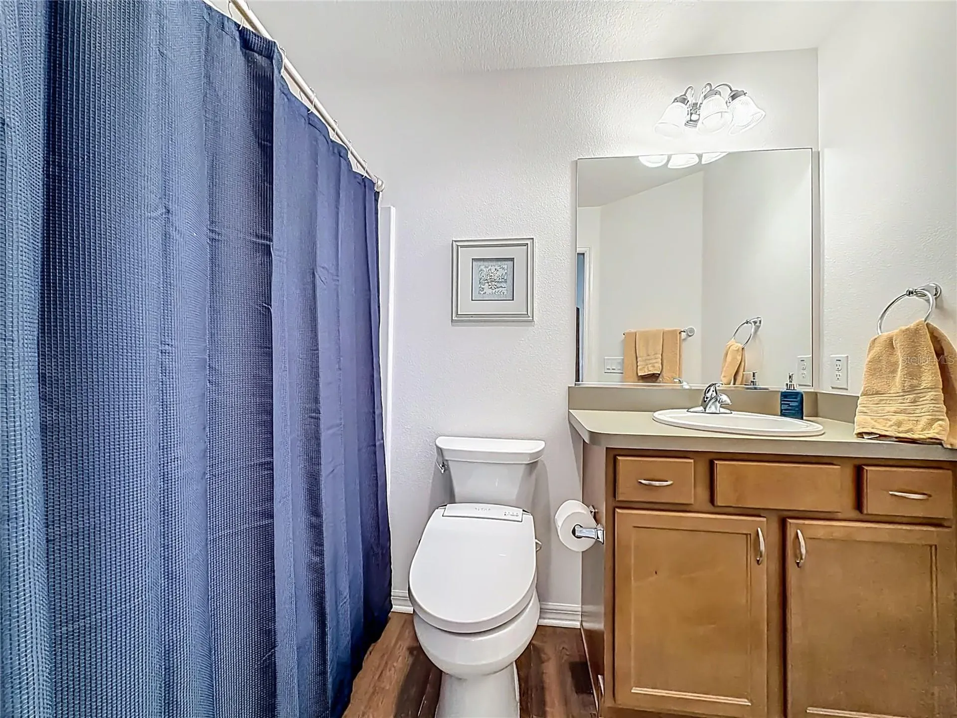 3435 Inverary Avenue The Villages FL 32163