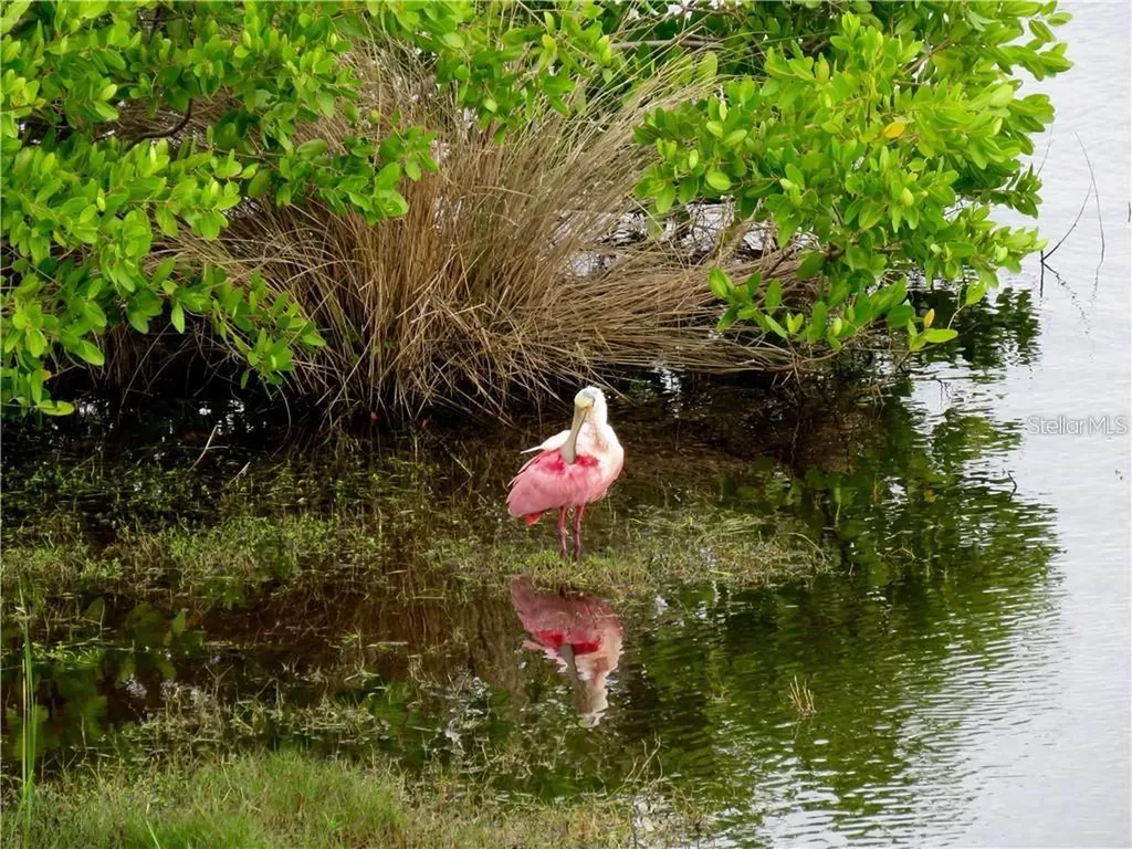 6315 Shoreline Drive Seminole FL 33708