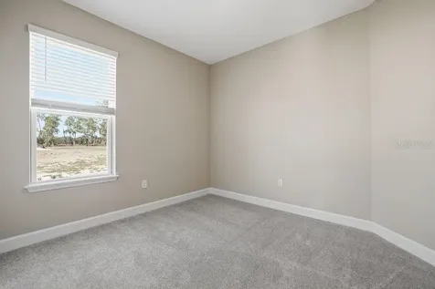 3412 Lumber Falls Drive Plant City FL 33565