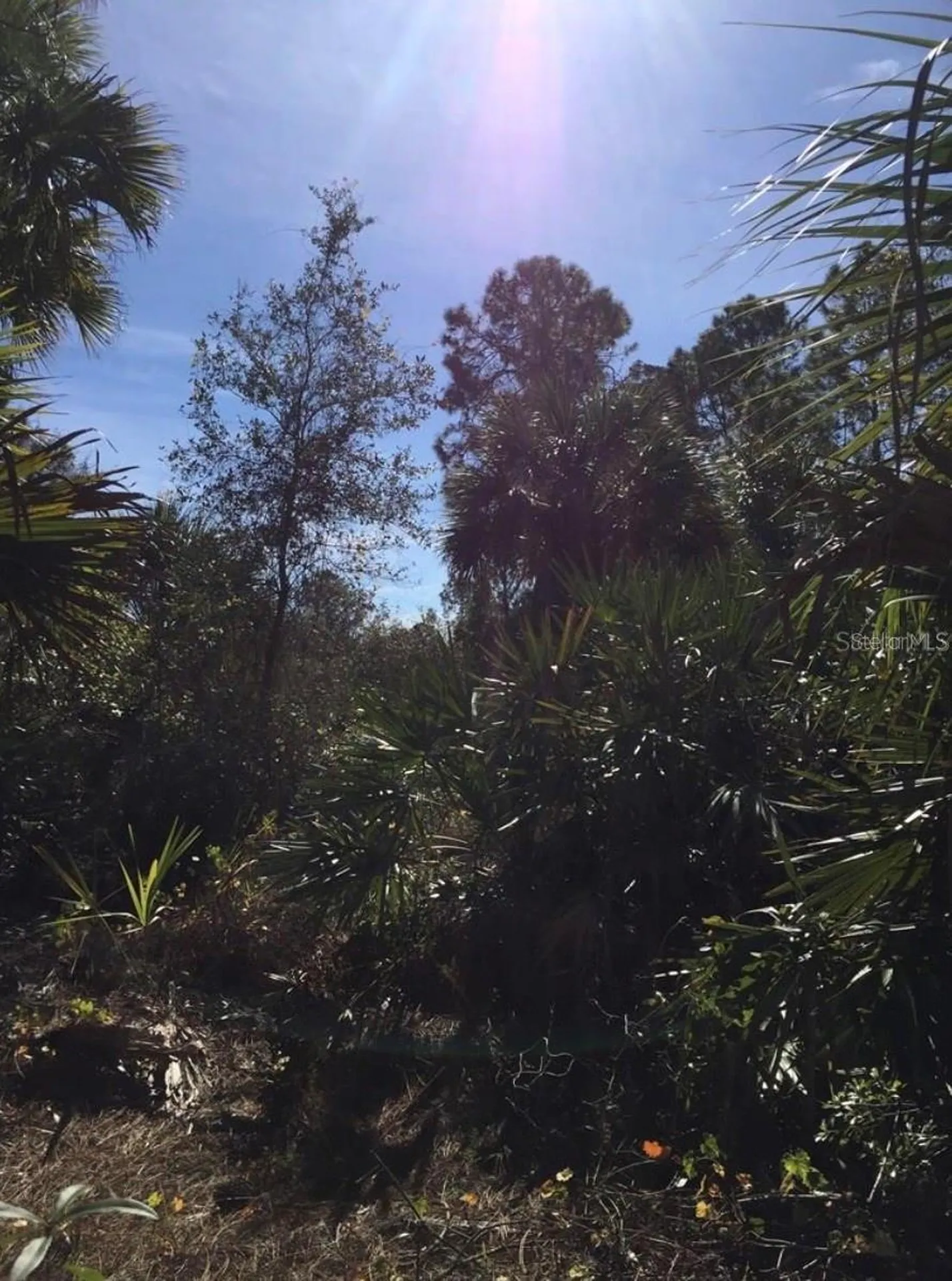 14423 Maddock Avenue Port Charlotte FL 33953