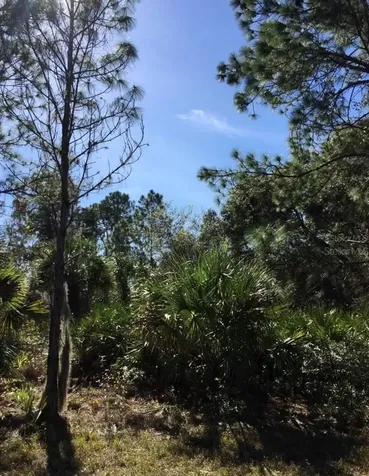 14415 Maddock Avenue Port Charlotte FL 33953