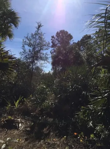 14415 Maddock Avenue Port Charlotte FL 33953
