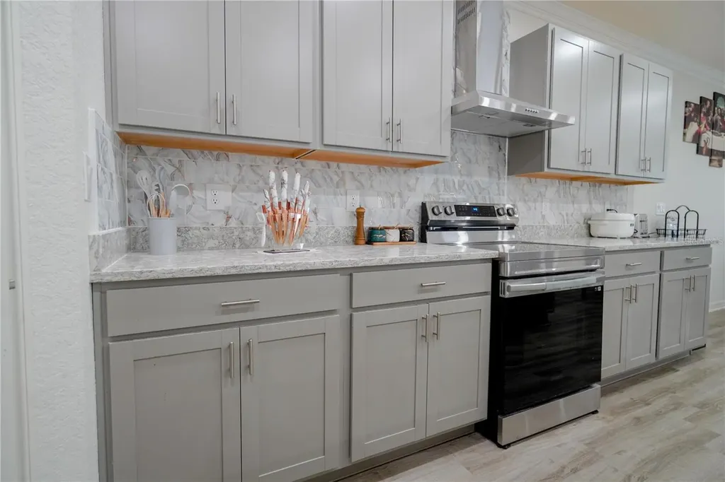 12288 Cypress Branch Street Riverview FL 33579