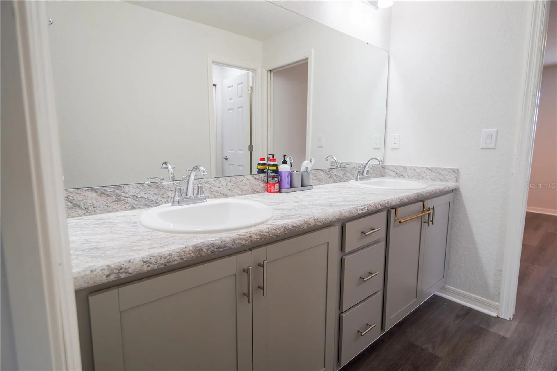 12288 Cypress Branch Street Riverview FL 33579