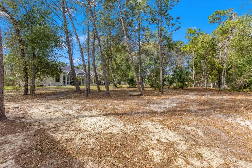 14071 Linden Drive Spring Hill FL 34609