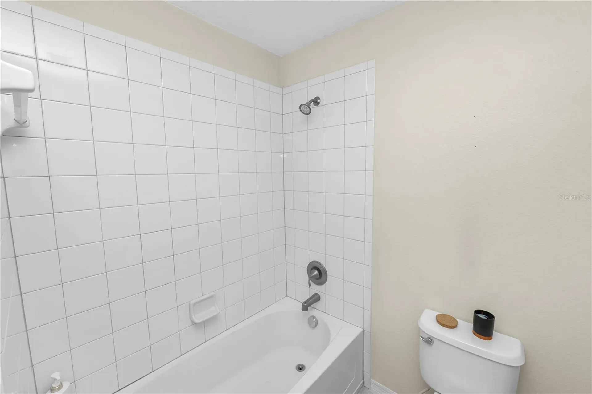 10615 Lucaya Drive Tampa FL 33647
