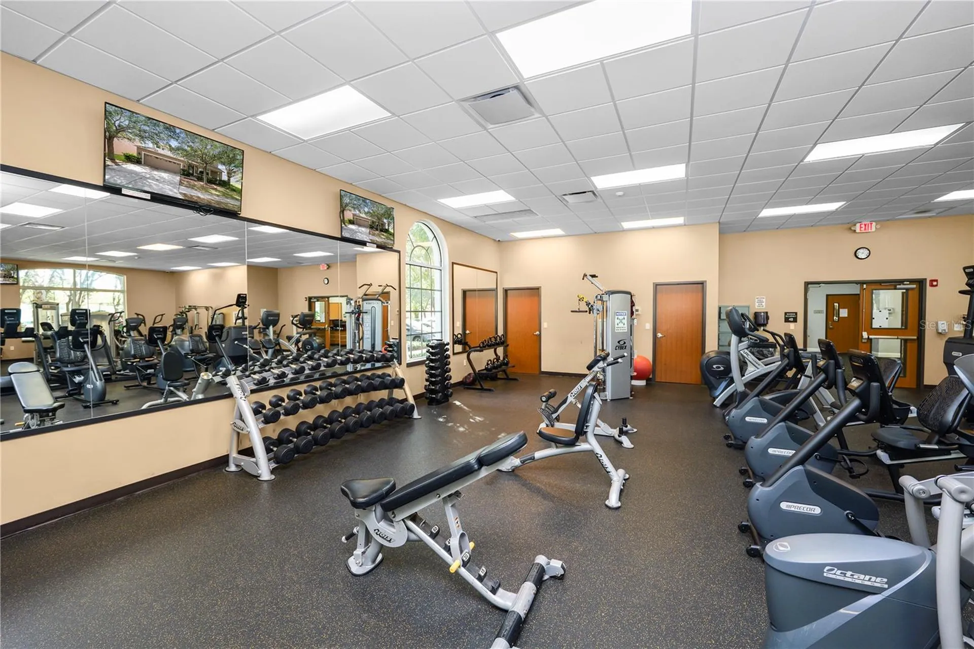 10615 Lucaya Drive Tampa FL 33647