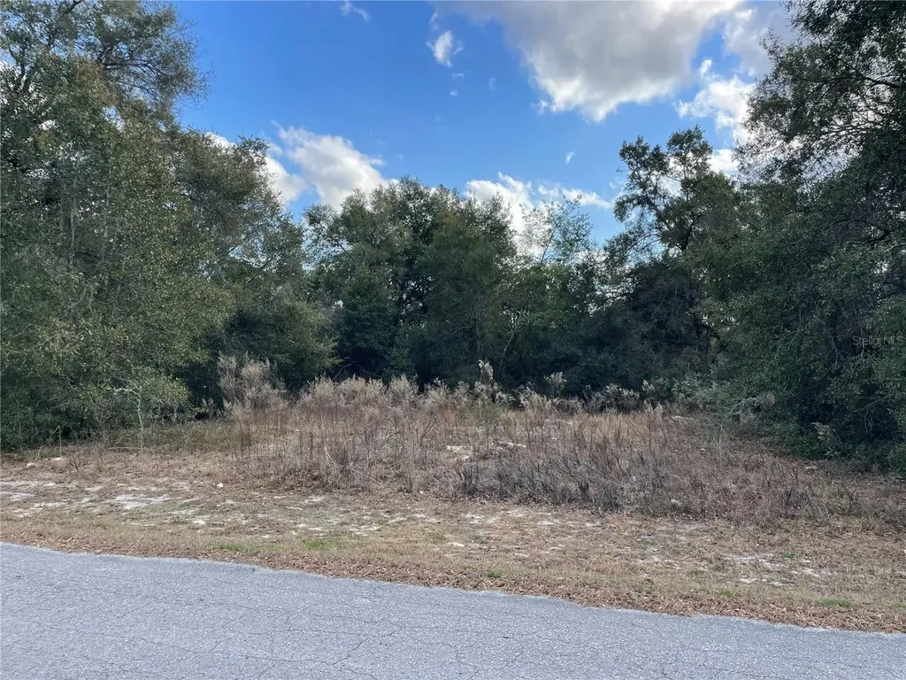 3798 E Tulipwood Lane Hernando FL 34442