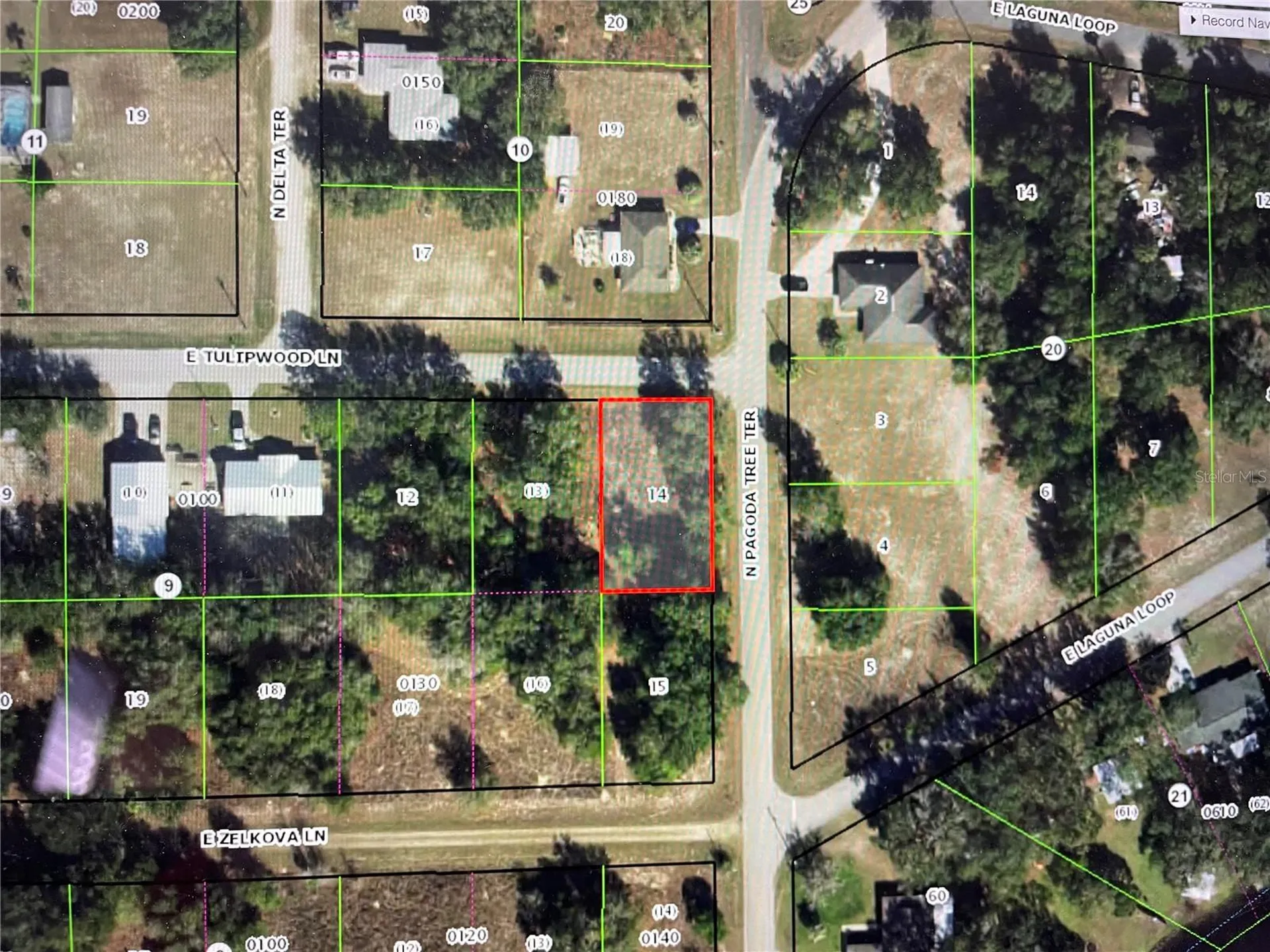 3798 E Tulipwood Lane Hernando FL 34442