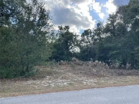 3798 E Tulipwood Lane Hernando FL 34442