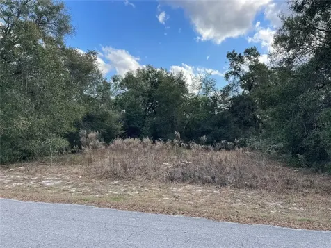 3798 E Tulipwood Lane Hernando FL 34442