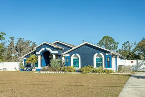31439 Stirrup Lane Wesley Chapel FL 33543