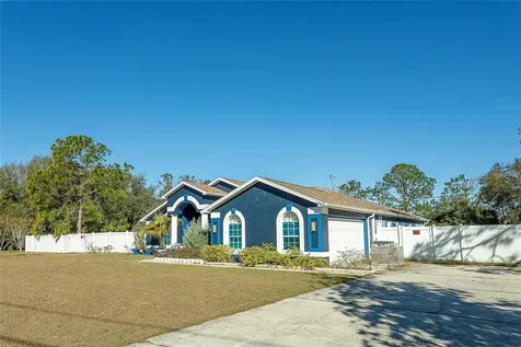 31439 Stirrup Lane Wesley Chapel FL 33543