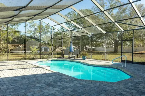 31439 Stirrup Lane Wesley Chapel FL 33543