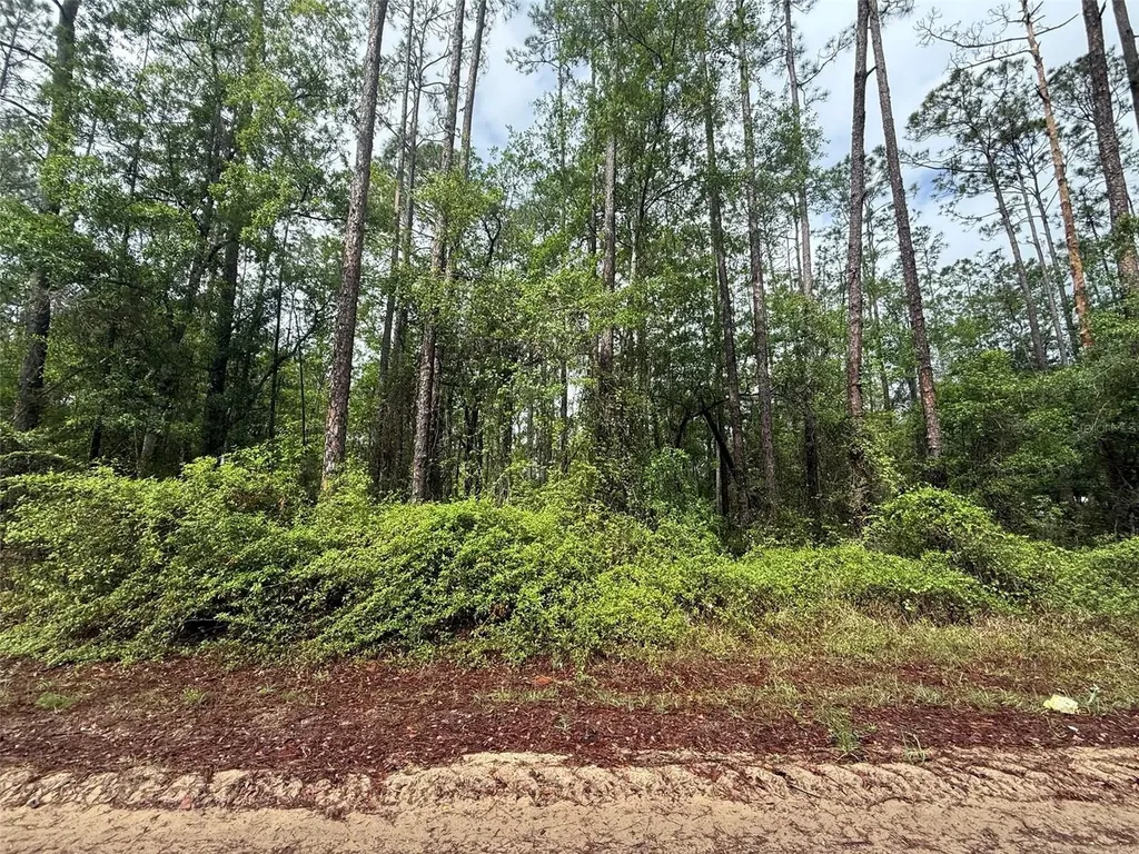 Seminole Avenue Interlachen FL 32148