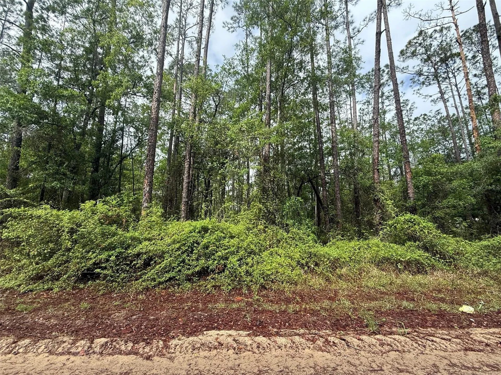 Seminole Avenue Interlachen FL 32148