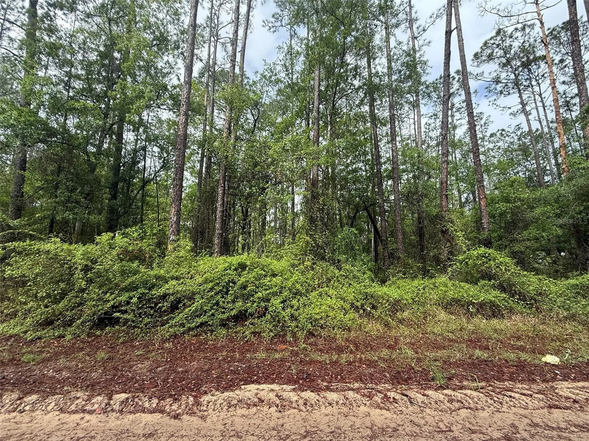 Seminole Avenue Interlachen FL 32148