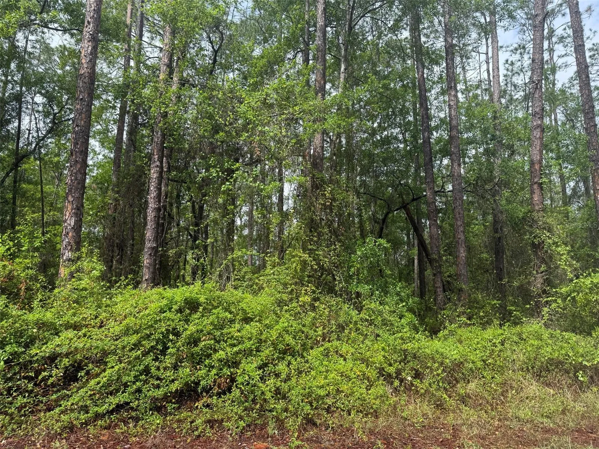 Seminole Avenue Interlachen FL 32148
