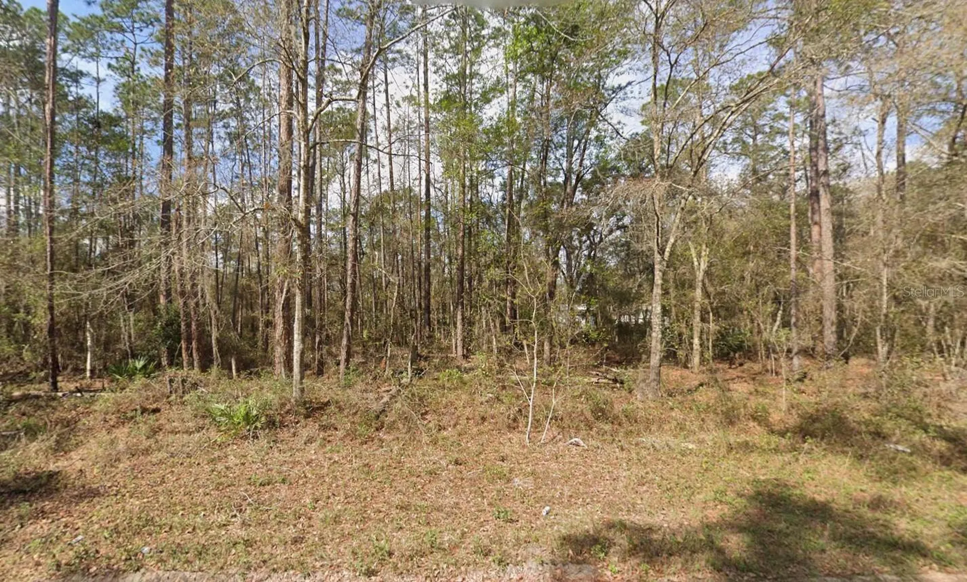 Seminole Avenue Interlachen FL 32148