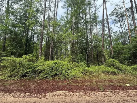 Seminole Avenue Interlachen FL 32148