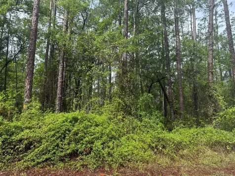 Seminole Avenue Interlachen FL 32148