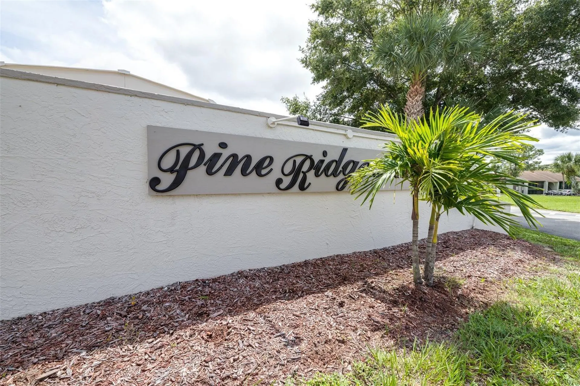 1871 Pine Ridge Way W Palm Harbor FL 34684