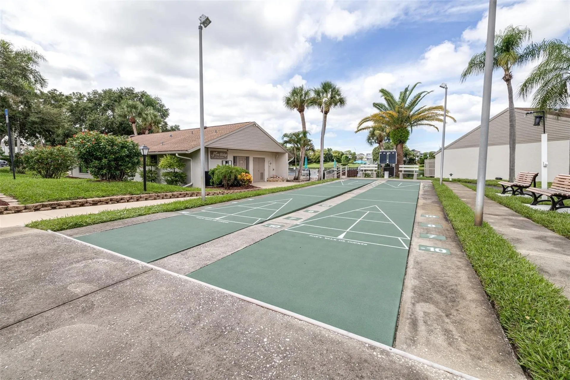 1871 Pine Ridge Way W Palm Harbor FL 34684