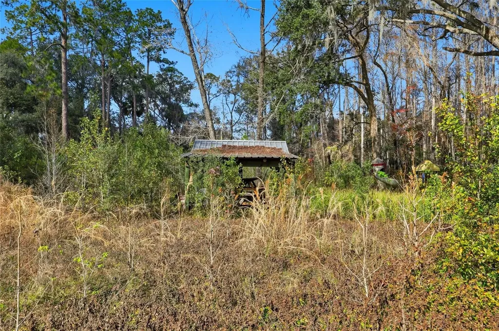 Higginson Road Zephyrhills FL 33540