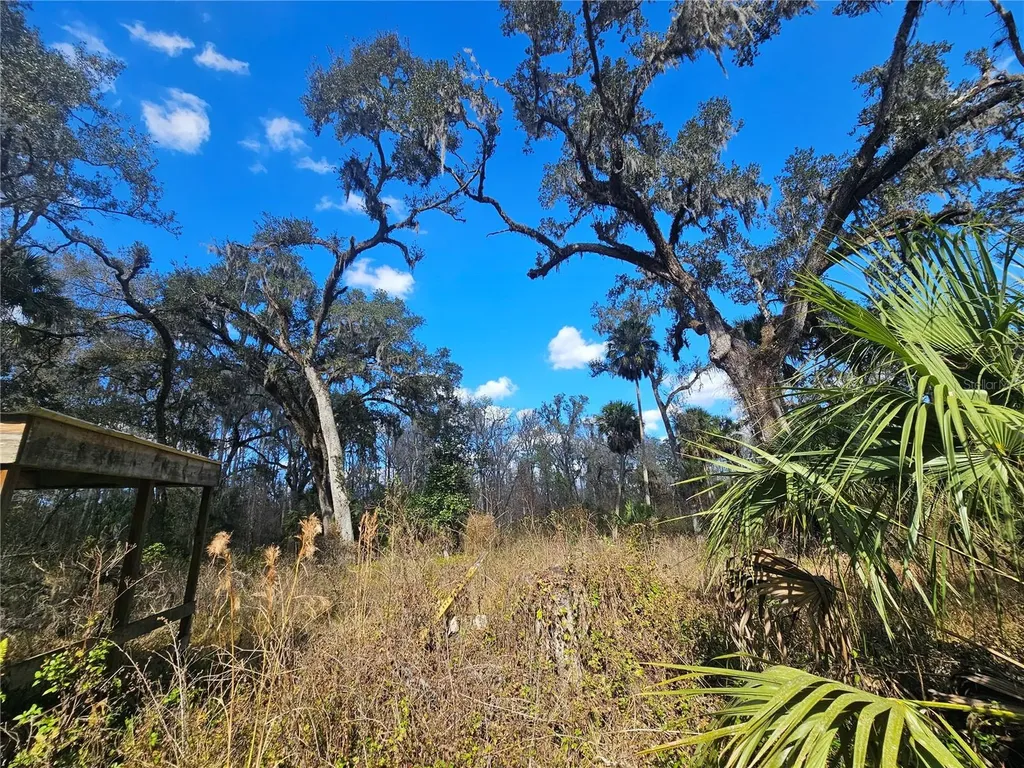 Higginson Road Zephyrhills FL 33540